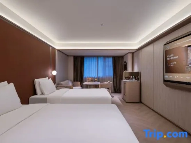 Deluxe Double room with city view