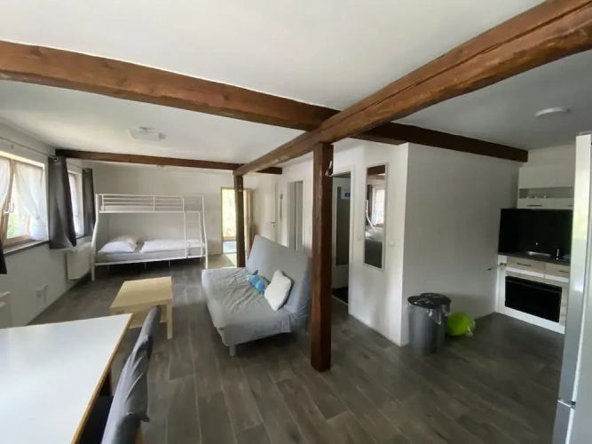 Classic Apartment