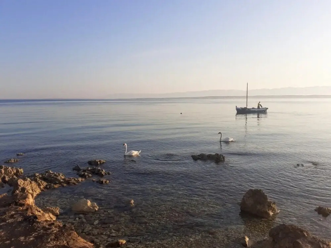 Brane - Charming and Close to the sea - SA1