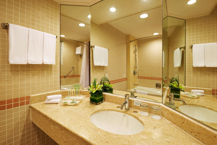 Holiday Inn Singapore Atrium by IHG