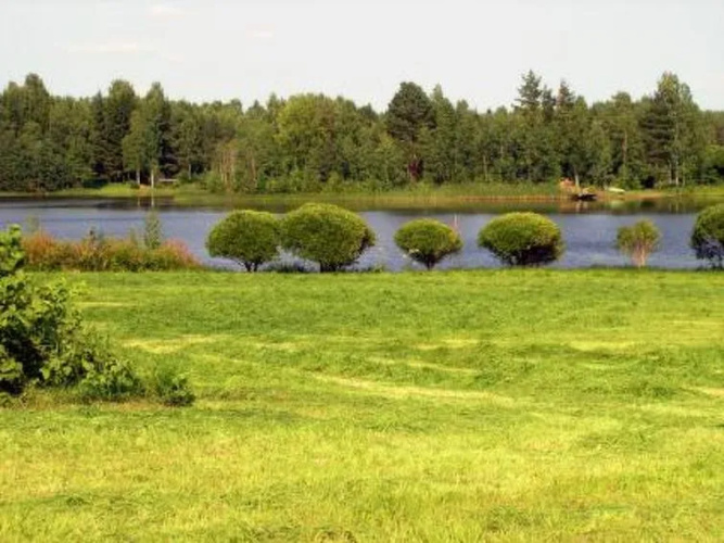 Holiday Home Petäjäniemi