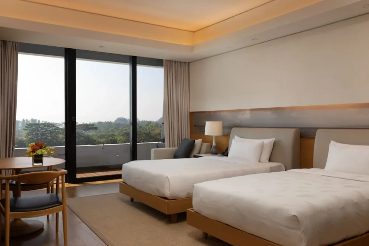 Deluxe Twin room with balcony and with garden view