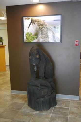 Airport Inn photo 16