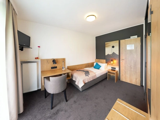 Economy Single room with mountain view