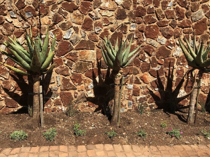 The Colonial Guest House