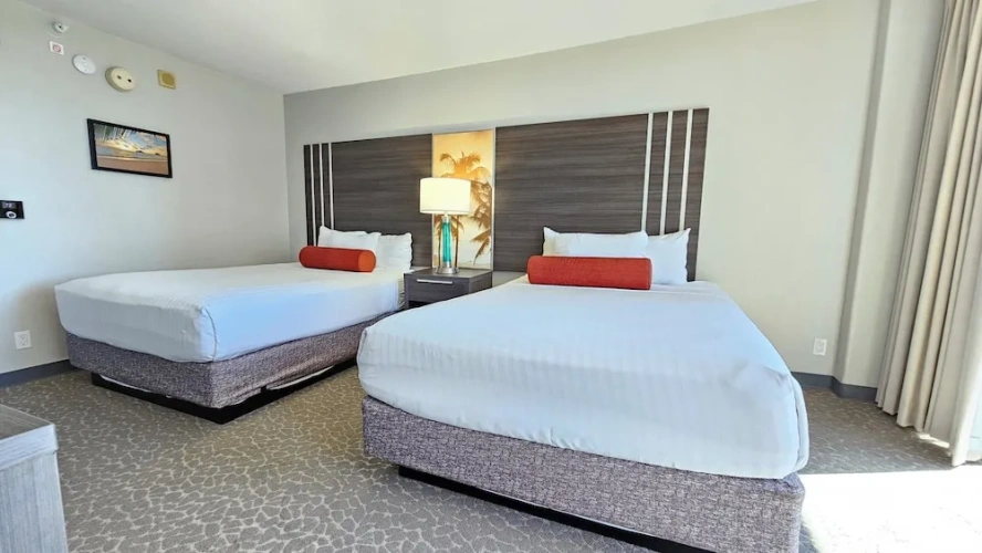 Economy Quadruple Studio with park view