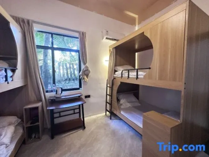Bed in Dorm
