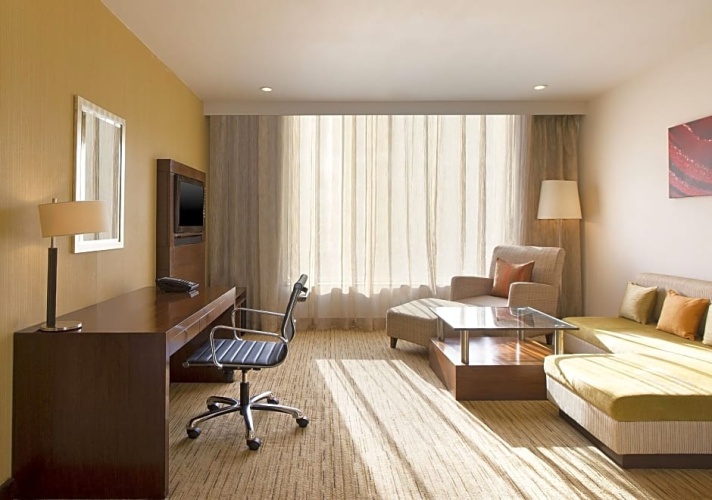 Executive Double Suite