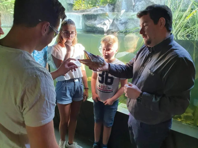 Aux Trois Petits Cochons