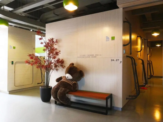 Bed in Dorm (female dorm)