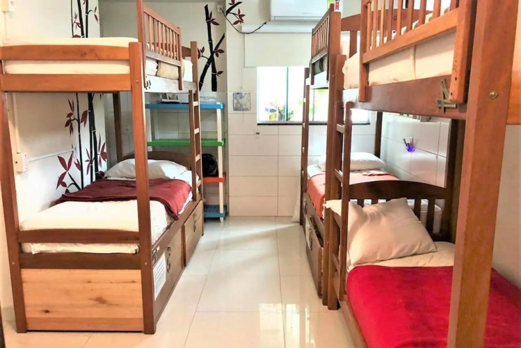 Sea Wolf Surf Club - Hostel