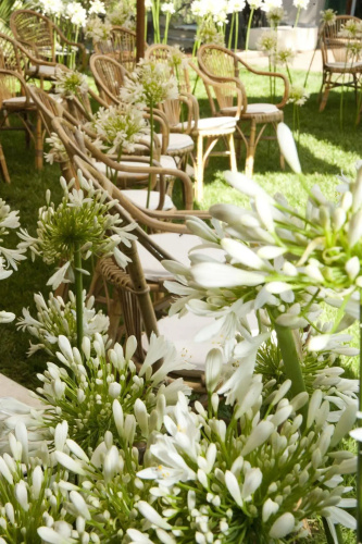Villa Magnolia Relais