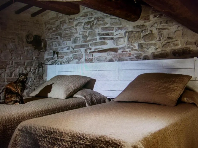 Duplex Suite