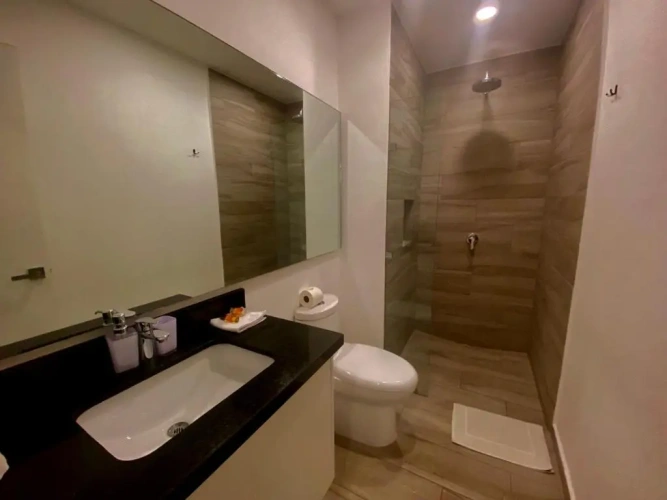 Standard Suite
