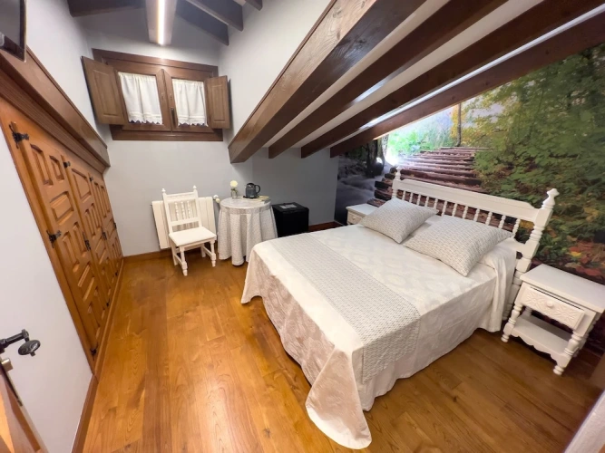 Economy Double Penthouse room