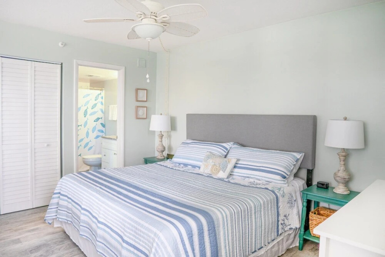 Estero Beach Beauty