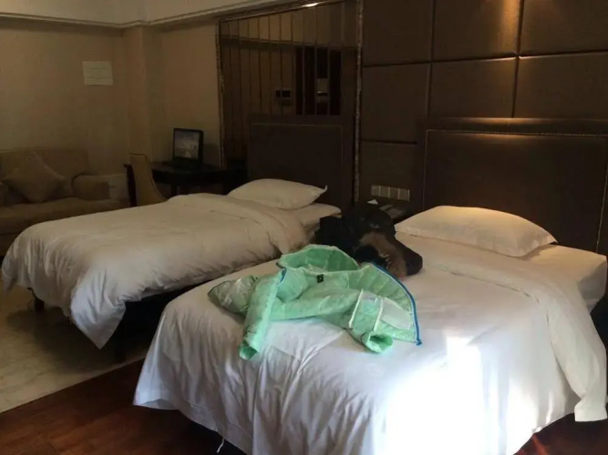 Private Enjoy Home Apartment