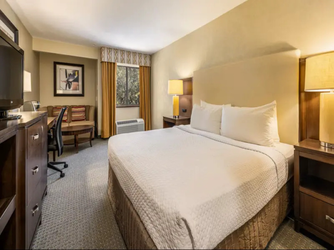 Standard Double Club room