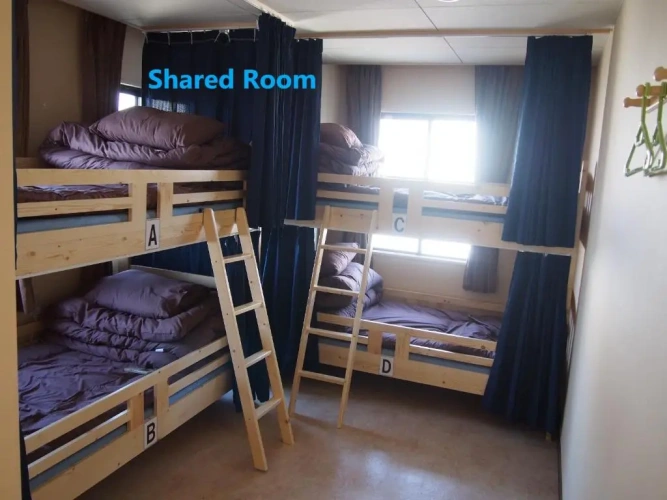 Bed in Dorm
