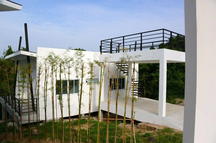 Villa Jungle Livin by Design Square