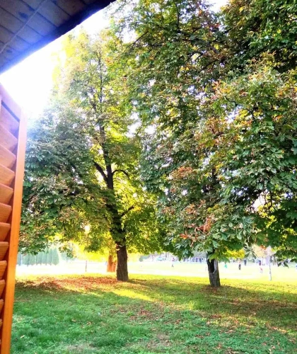 Standard Twin room with park view