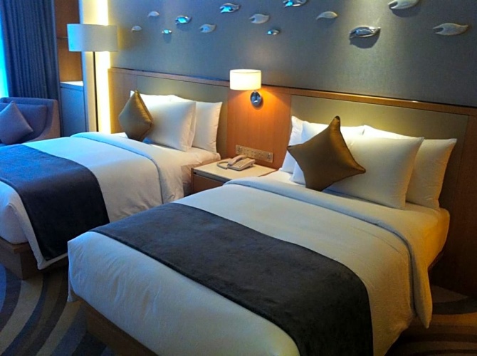 Deluxe Double room with view