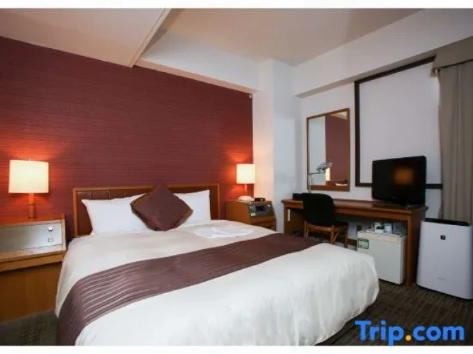 Standard Double room with city view