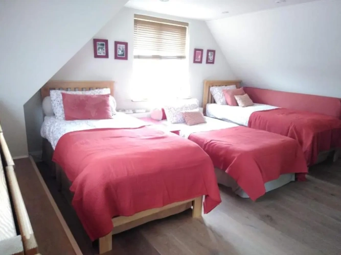 Single Suite