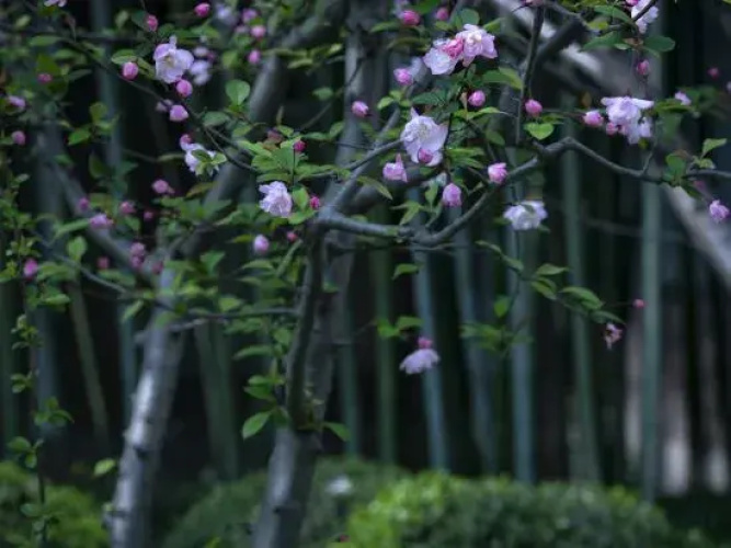 Xincheng Hotel