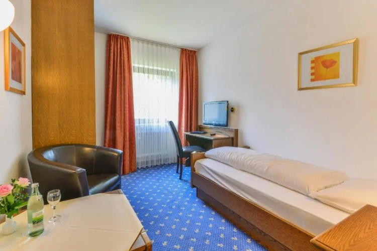 Standard Double room with balcony and with view