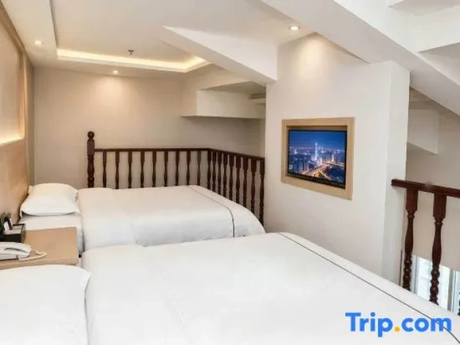 Twin Suite