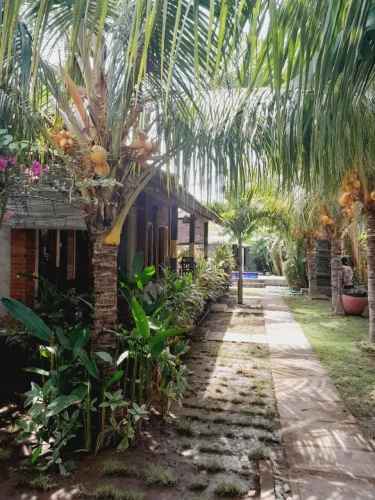La Paparrucha Bali