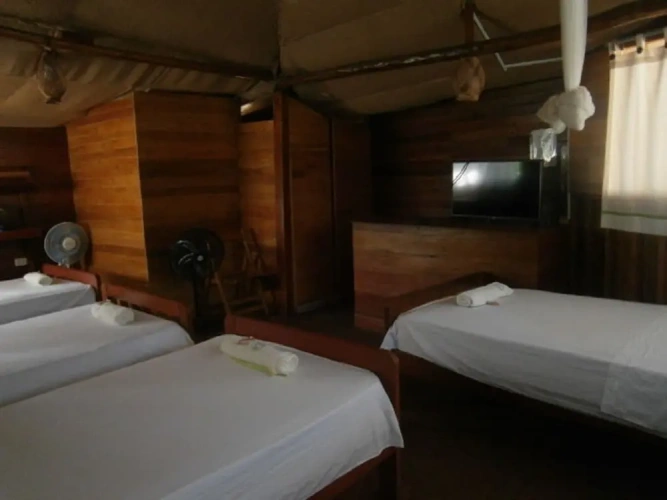Standard Quadruple room with garden view