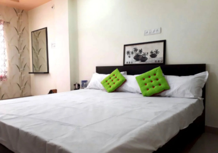 Hotel Amrit Mahal Udaipur