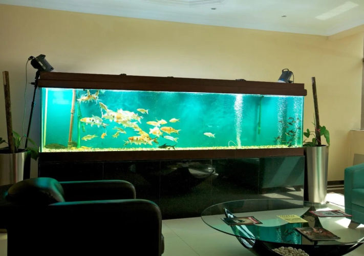 Tanzanite Executive Suites
