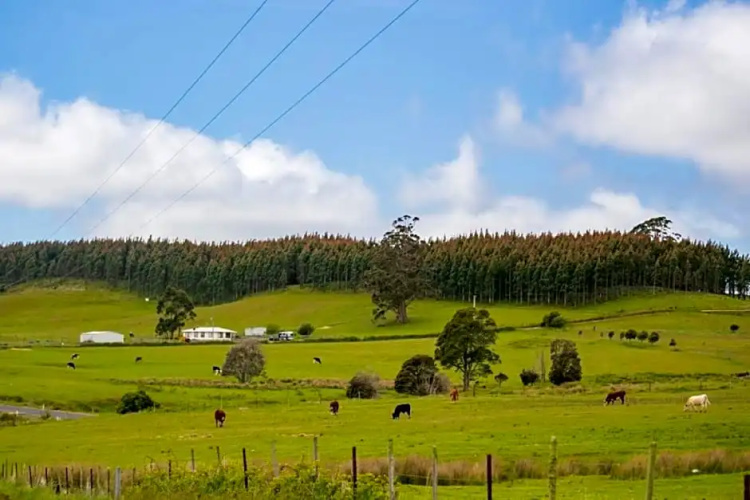 3 Hills at The Good Place