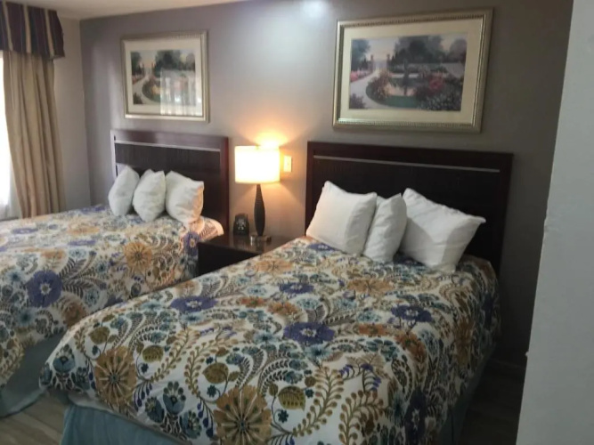 Flamingo Inn