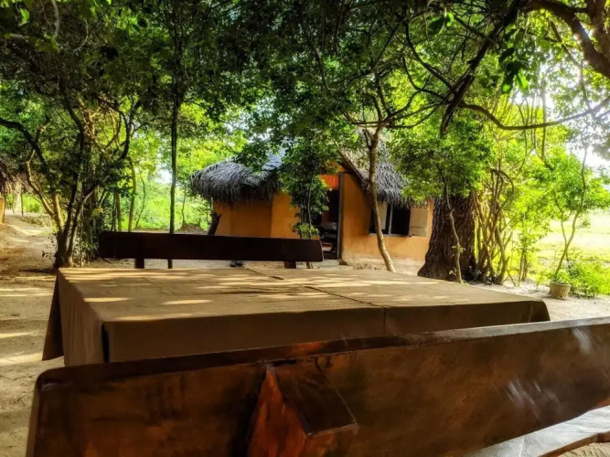 Yala Jungle Haven