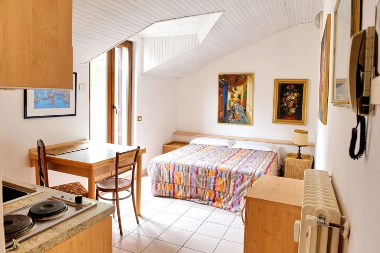 1 Bedroom Classic Studio with mountain view
