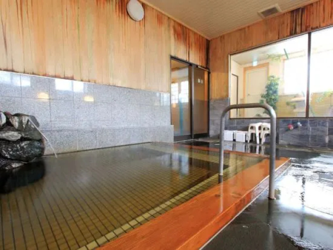 Hotsprings Inn Shoen