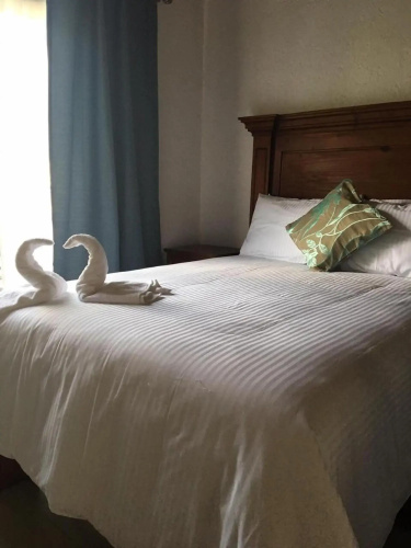 Hotel Concierge Flor y Canto