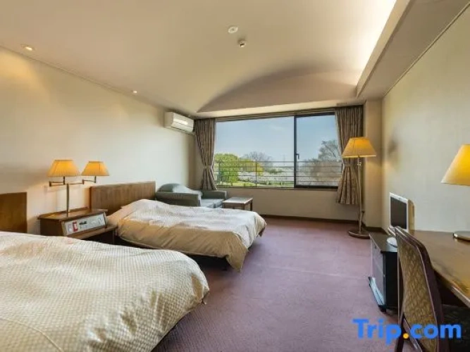 Standard Twin room with mountain view