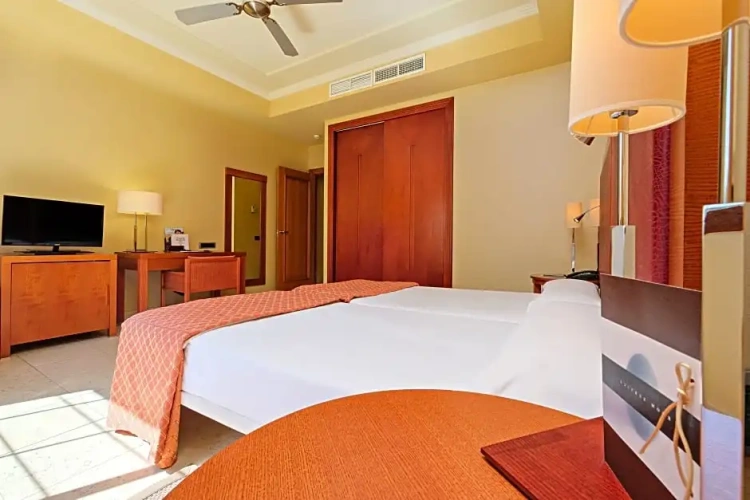 Standard Double room with balcony and with view