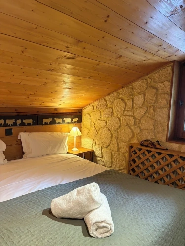 Standard Double room with balcony and with mountain view