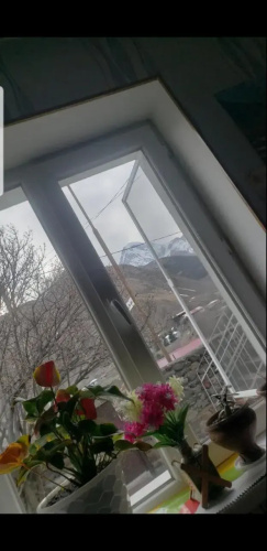 Guest House Dodo