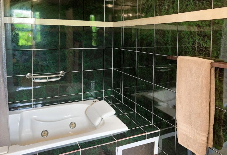 1 Bedroom Standard Suite