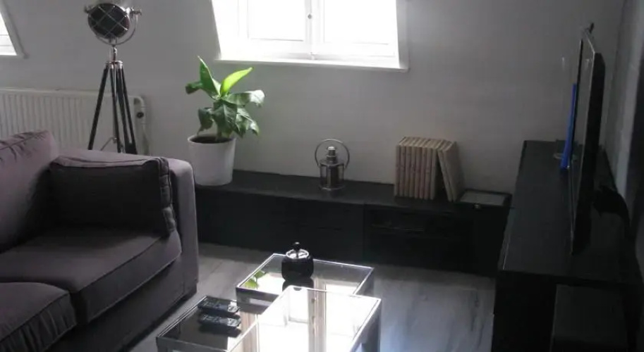 Apartment Brussels Louise Chatelain
