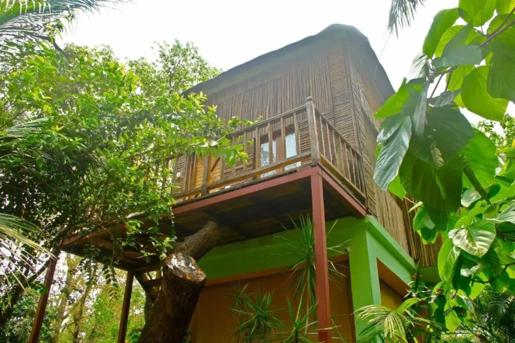 Double Cottage
