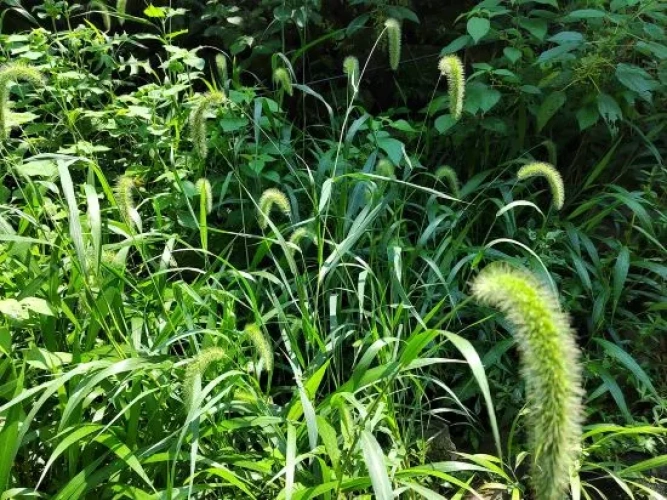 Outside