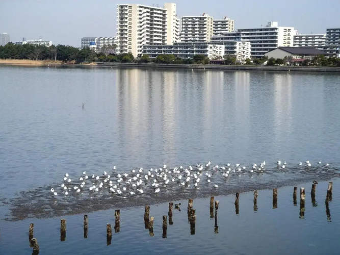 Hotel Lei